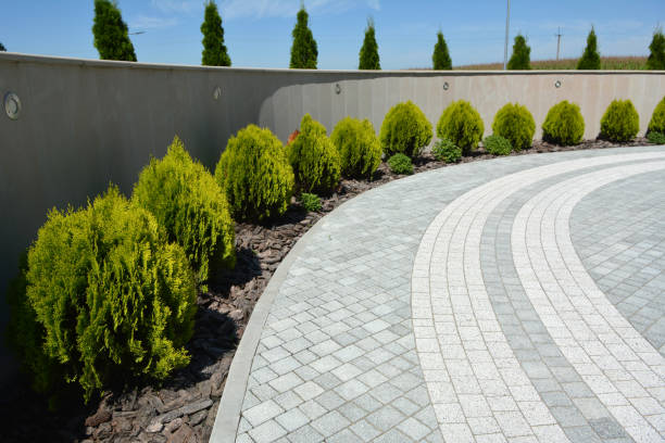 Best Residential Paver Driveway  in Parkersburg, IA